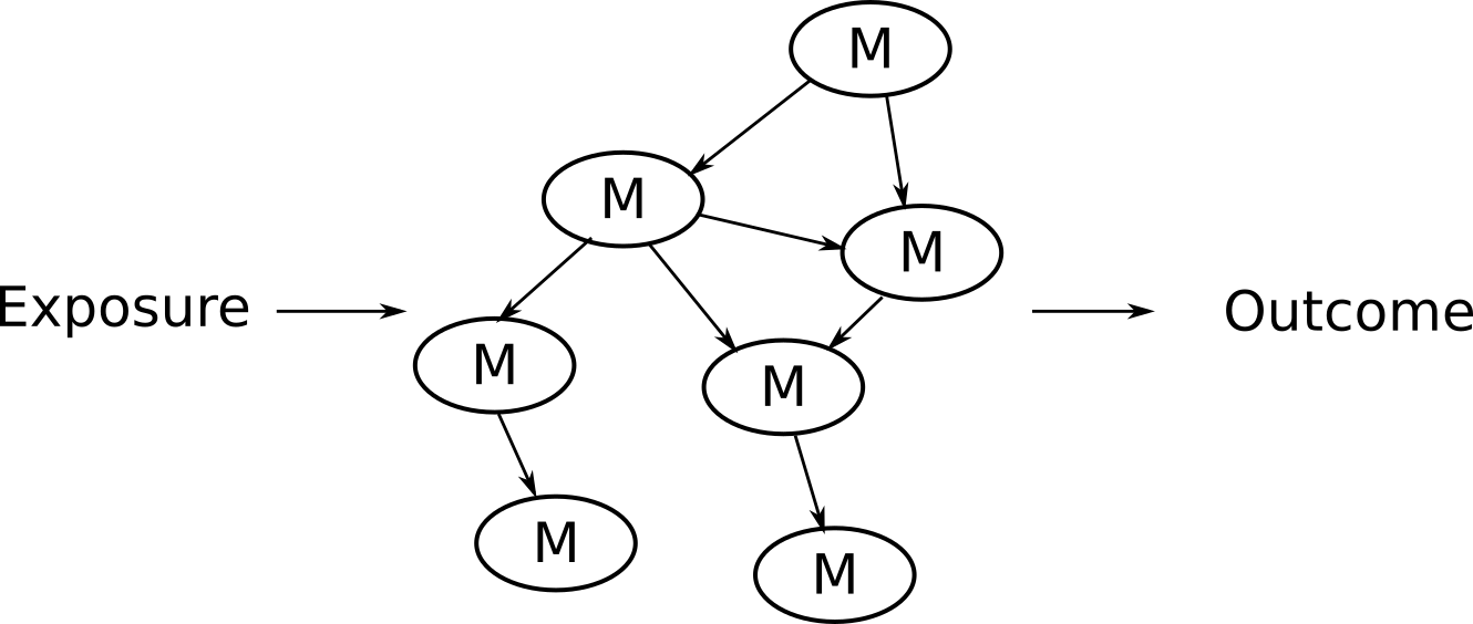 Type of questions or objectives that NetCoupler aims to help answer.